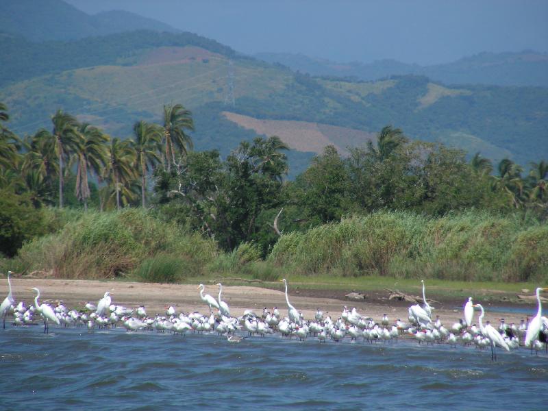 5796 Laguna Coyuca 